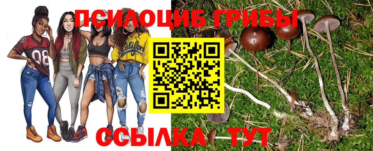 Галлюциногенные грибы мухоморы Кумертау