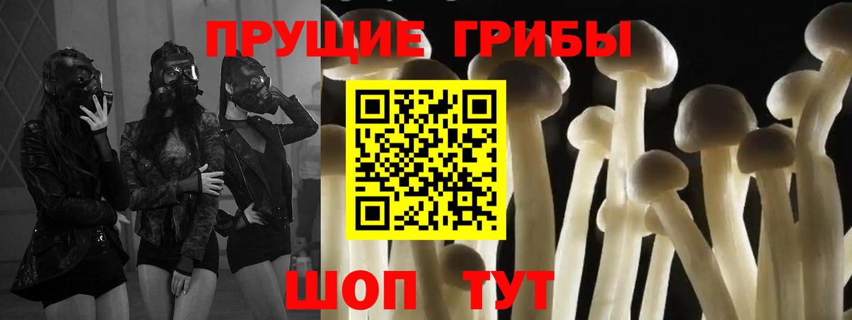 дарнет шоп  Вход с VPN  Кумертау  Галлюциногенные грибы мицелий  Псилоцибиновые грибы мицелий 